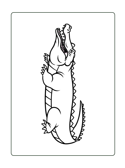 Crocodile Coloring Book 20-page PDF Download