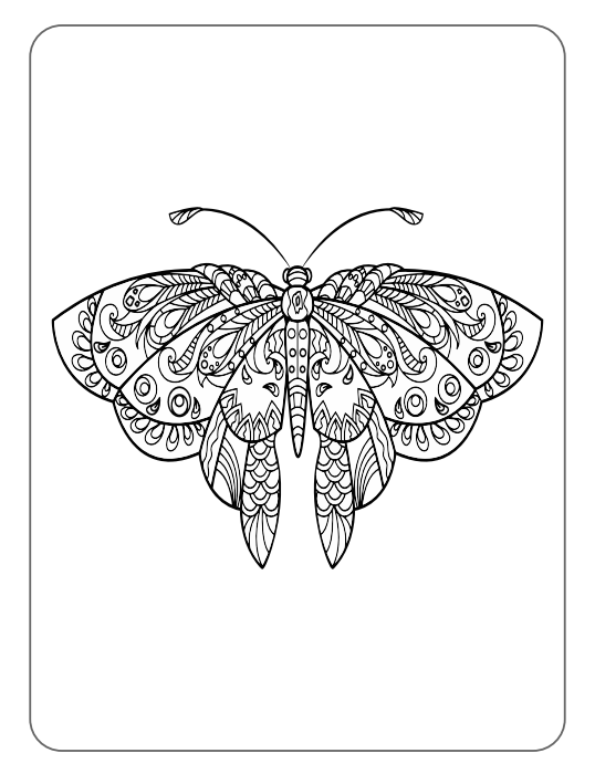 Advanced Butterfly Coloring Book 20-page PDF Download