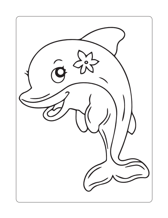 Dolphin Coloring Book 15-Page PDF + 15 draw pages